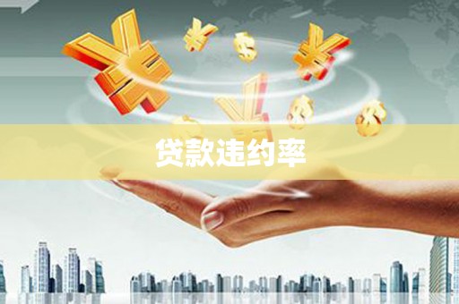 漾濞贷款违约率