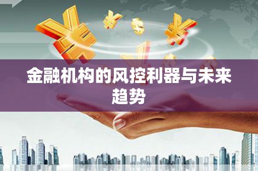 漾濞金融机构的风控利器与未来趋势