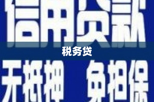 漾濞税务贷