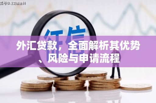 漾濞外汇贷款，全面解析其优势、风险与申请流程