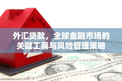 漾濞外汇贷款，全球金融市场的关键工具与风险管理策略