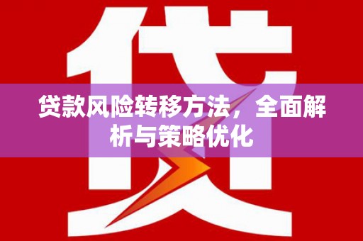 漾濞贷款风险转移方法，全面解析与策略优化