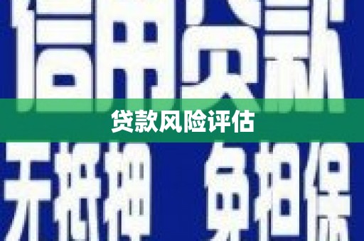 漾濞贷款风险评估