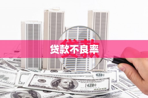 漾濞贷款不良率