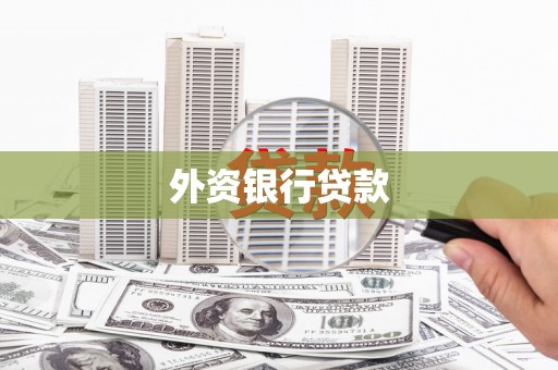 漾濞外资银行贷款