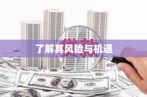 漾濞了解其风险与机遇