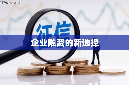 漾濞企业融资的新选择