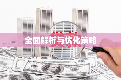 漾濞全面解析与优化策略