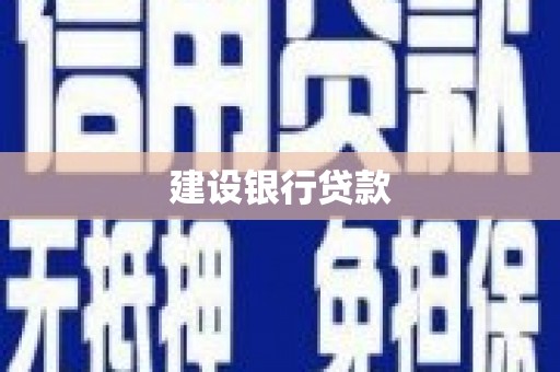 漾濞建设银行贷款