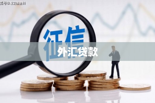 漾濞外汇贷款