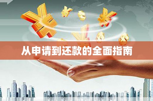 漾濞从申请到还款的全面指南