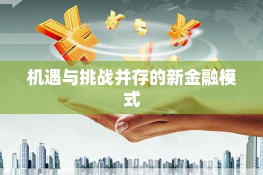 漾濞机遇与挑战并存的新金融模式
