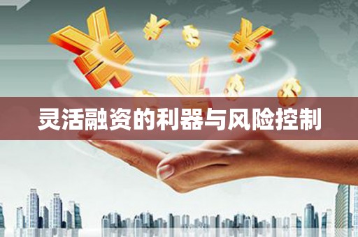 漾濞灵活融资的利器与风险控制