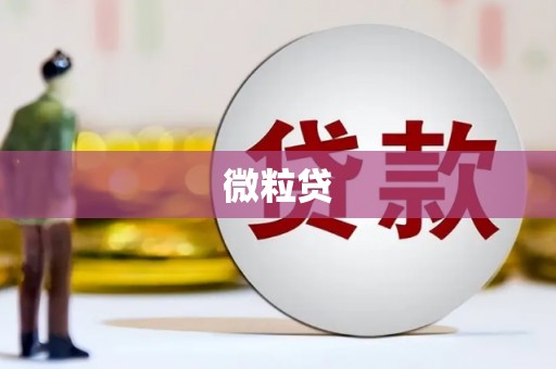 漾濞微粒贷