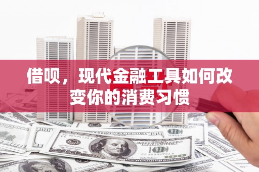 漾濞借呗，现代金融工具如何改变你的消费习惯