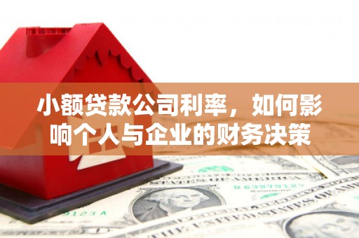 漾濞小额贷款公司利率，如何影响个人与企业的财务决策