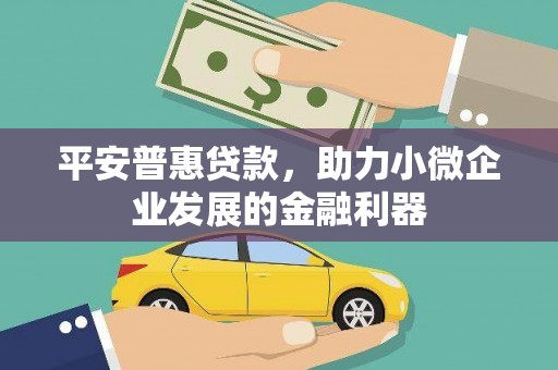 漾濞平安普惠贷款，助力小微企业发展的金融利器