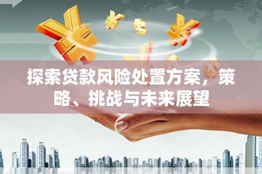 漾濞探索贷款风险处置方案，策略、挑战与未来展望