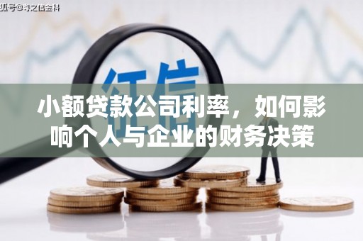 漾濞小额贷款公司利率，如何影响个人与企业的财务决策