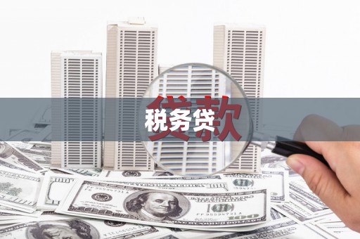 漾濞税务贷