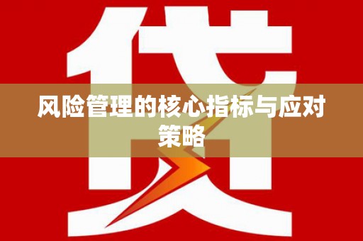 漾濞风险管理的核心指标与应对策略