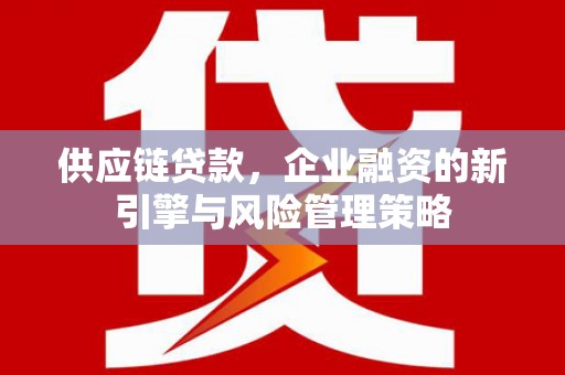 漾濞供应链贷款，企业融资的新引擎与风险管理策略