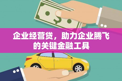漾濞企业经营贷，助力企业腾飞的关键金融工具