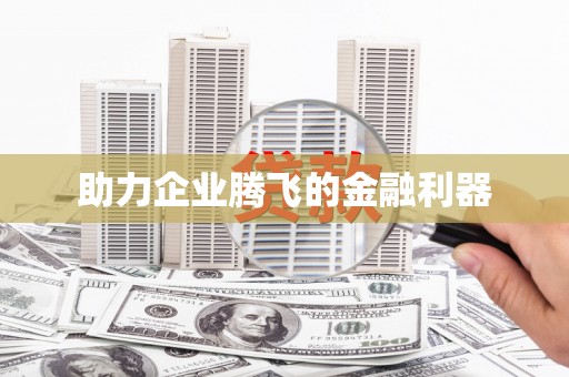 漾濞助力企业腾飞的金融利器