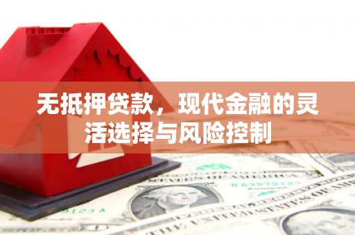 漾濞无抵押贷款，现代金融的灵活选择与风险控制