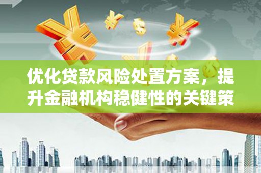漾濞优化贷款风险处置方案，提升金融机构稳健性的关键策略