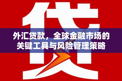 漾濞外汇贷款，全球金融市场的关键工具与风险管理策略