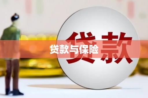 漾濞贷款与保险