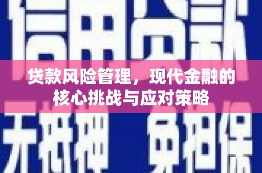 漾濞贷款风险管理，现代金融的核心挑战与应对策略