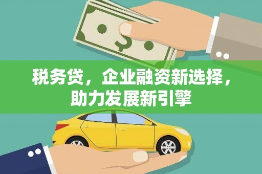 漾濞税务贷，企业融资新选择，助力发展新引擎