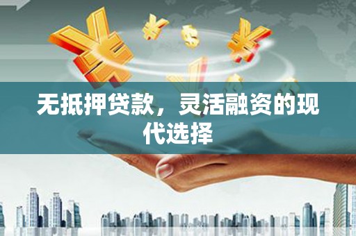 漾濞无抵押贷款，灵活融资的现代选择