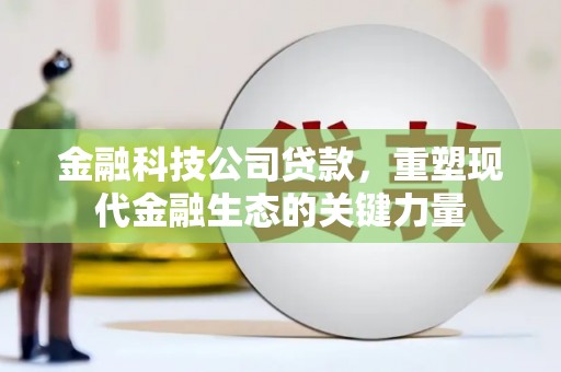 漾濞金融科技公司贷款，重塑现代金融生态的关键力量