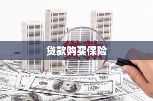 漾濞贷款购买保险
