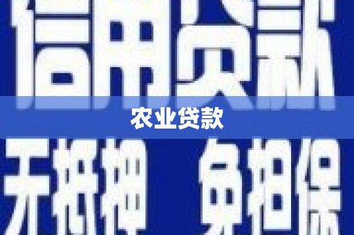 漾濞农业贷款