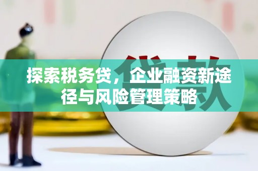 漾濞探索税务贷，企业融资新途径与风险管理策略