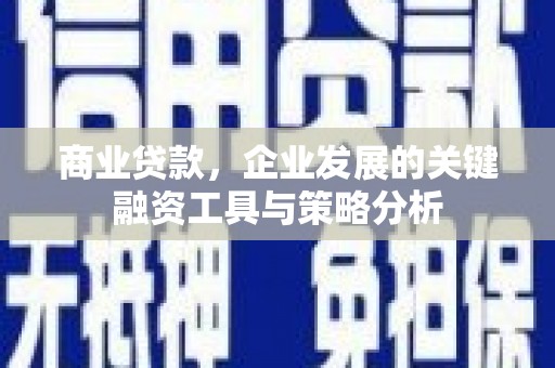 漾濞商业贷款，企业发展的关键融资工具与策略分析