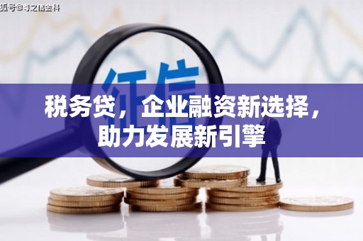 漾濞税务贷，企业融资新选择，助力发展新引擎