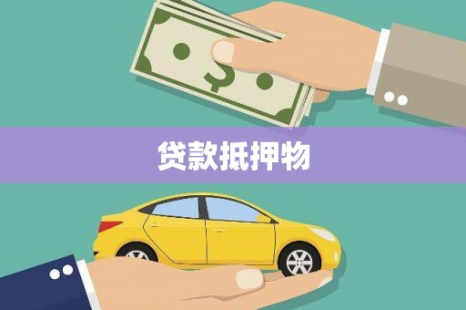 漾濞贷款抵押物