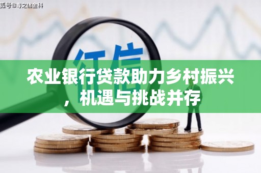 漾濞农业银行贷款助力乡村振兴，机遇与挑战并存