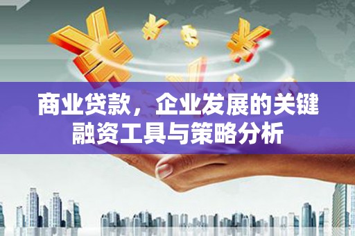 漾濞商业贷款，企业发展的关键融资工具与策略分析