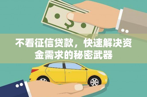 漾濞不看征信贷款，快速解决资金需求的秘密武器