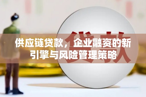 漾濞供应链贷款，企业融资的新引擎与风险管理策略