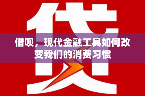 漾濞借呗，现代金融工具如何改变我们的消费习惯