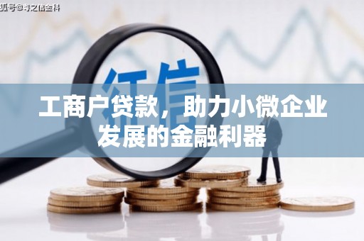 漾濞工商户贷款，助力小微企业发展的金融利器
