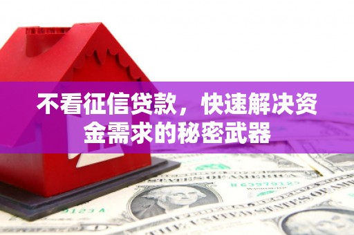 漾濞不看征信贷款，快速解决资金需求的秘密武器