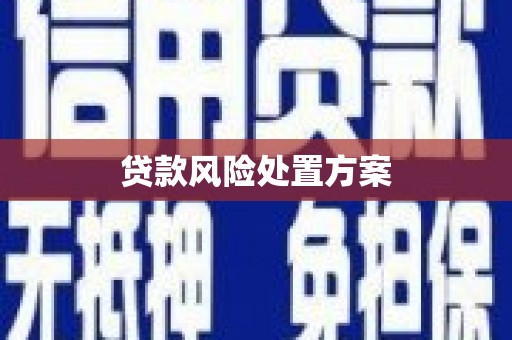 漾濞贷款风险处置方案